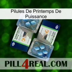 Power Spring Pills viagra5